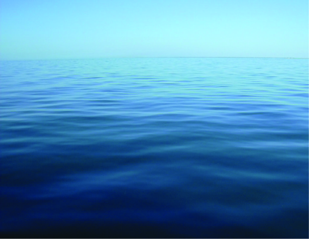 Living Ocean Life Inside Out
